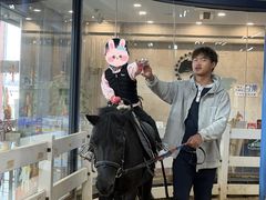 -骑乐马术(广州奥体优托邦中心)