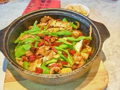 -天辣(金桥啦啦宝都店)