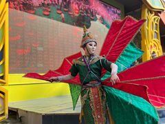 -西双版纳原始森林公园