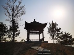 -马家湾湿地公园