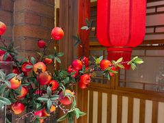-鸽子窝(黄村店)