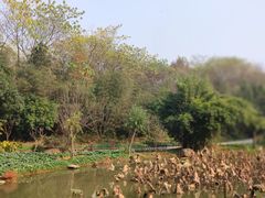-西院1号(龙井店)