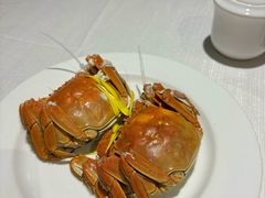 阳澄湖大闸蟹-4两母蟹-阳澄湖费尔蒙酒店颐丰阁中餐厅(马鞍山西路店)