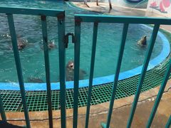 -北戴河圣蓝海洋公园