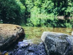 -北仑森林植物园