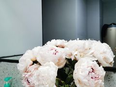 -ALIV WELLNESS运动健身(浦东大道店)