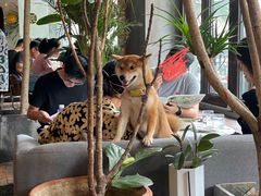 -the rug 飞毯 (朝阳公园店)