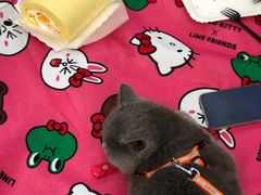-KK BAKERY烘焙