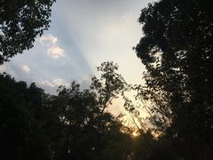 -南翔镇银翔湖公园