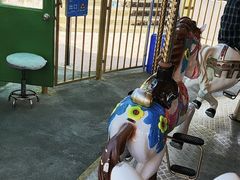 -深圳野生动物园