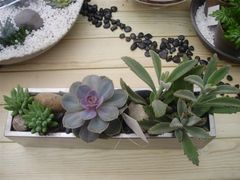 -荷兰布尔玛国际花艺学院
