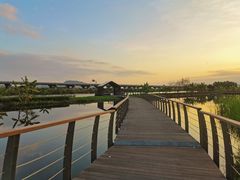 -芒洲湿地公园