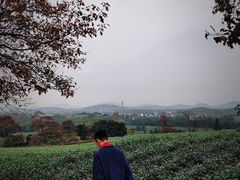 -宜兴富陶温泉