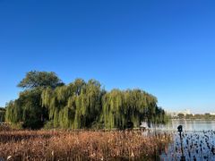 -济南大明湖景区