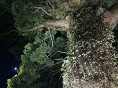 -普陀山雷迪森庄园