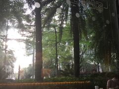 -星巴克臻选(深圳嘉里建设广场店)