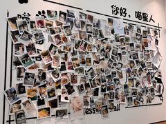 -瑞派·关忠动物医院·猫专科·犬专科(三环新城店)