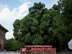 -四门塔风景区