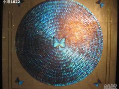 -上海昆虫博物馆