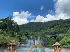 -西双版纳原始森林公园