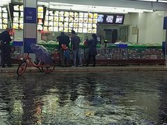 门面-宫廷糕点铺(双林中横路店)