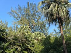 -北海市海滨公园