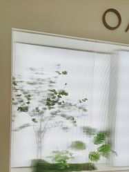 -OAE日式皮肤管理お肌の