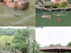 -宁波野生动物园