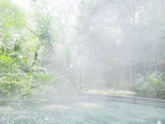 -明月山天沐温泉度假村