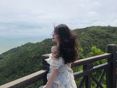 -广东惠东海龟国家级自然保护区