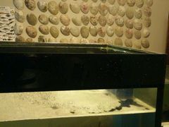 -同乐酒楼(皇后镇店)