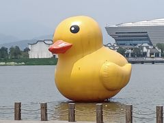 -琅岐红光湖公园