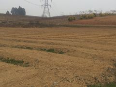 -紫颐香薰山谷景区