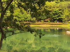 -黄公望隐居地