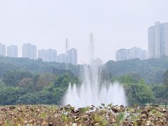 -龙头寺公园