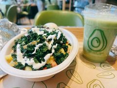 -油梨树AVOCADO TREE(望京店)