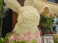 -PlantsEatery·植物食堂(REX春熙店)