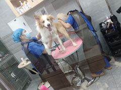 -宠福鑫康馨动物医院·骨科·眼科