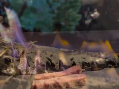 -地球美食剧场