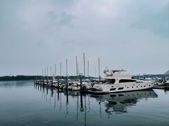 -日照世帆赛基地