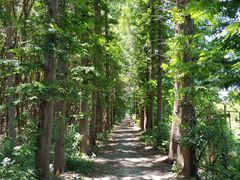 -同里国家湿地公园