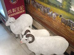 -快乐小羊·内蒙牛羊肉火锅(流花中心店)