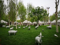 -九十九顶毡房(阜石路店)