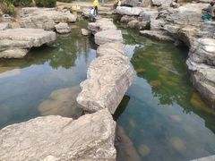-桃花岭景区