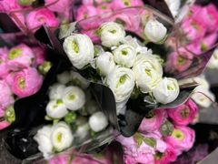 -循礼门鲜花花市(武汉循礼门店)