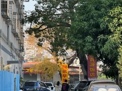 -阿弟早茶大排档(九村店)