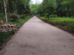 -重庆彩云湖湿地公园
