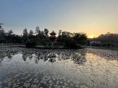 -四川大学(望江校区)