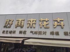 -沪花拾者(好再来花卉鲜花店)