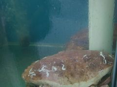 -聚德福海鲜家常菜(刘庄店)